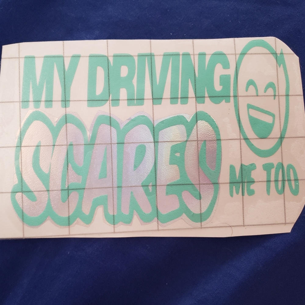 Car decal. My driving scares me too